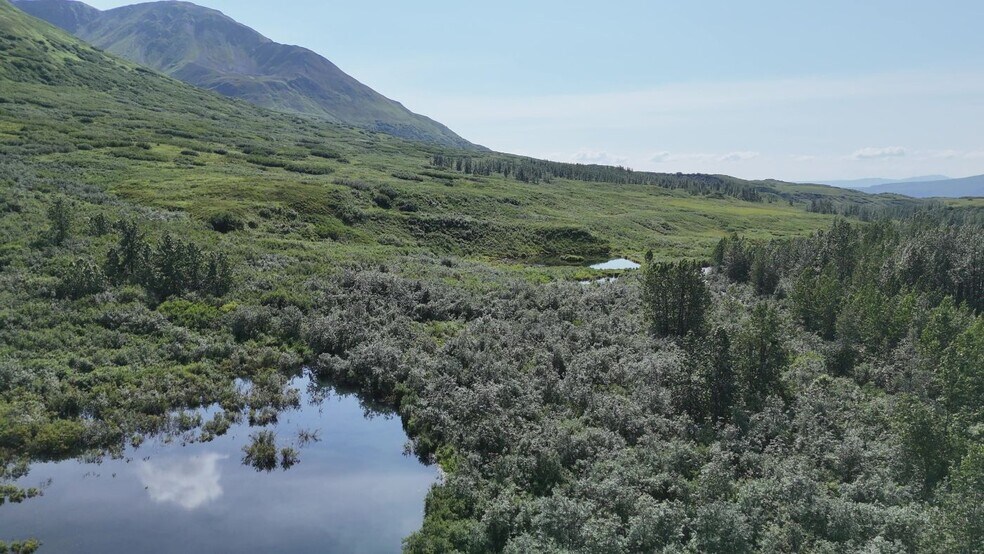 More Photos Of 000 Dutch Creek Gold Mine, Trapper Creek Land For Sale