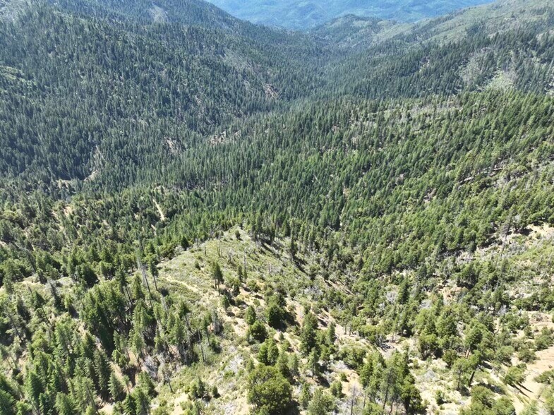 More Photos Of 2510 Fs rd, Hyampom Land For Sale