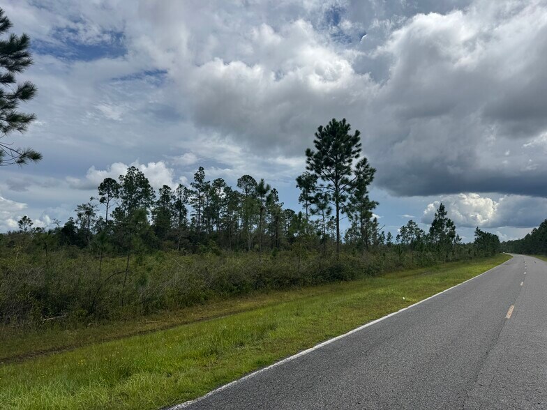 More Photos Of Noah Raulerson Road, Sanderson Land For Sale