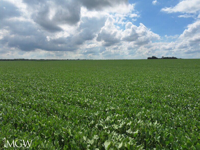 More Photos Of Clark Road, Big Rock Land For Sale