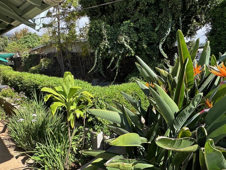 More Photos Of 3135 Lower Kula Rd, Kula Storefront Retail Office For Sale