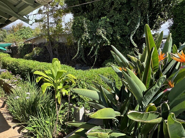 More Photos Of 3135 Lower Kula Rd, Kula Storefront Retail Office For Sale