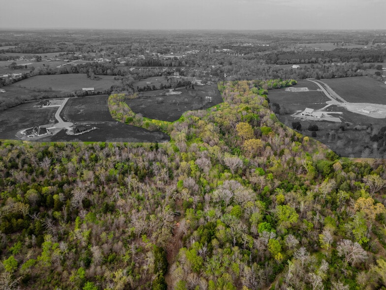 More Photos Of 106 AC TBD County Road 192, Tyler Land For Sale