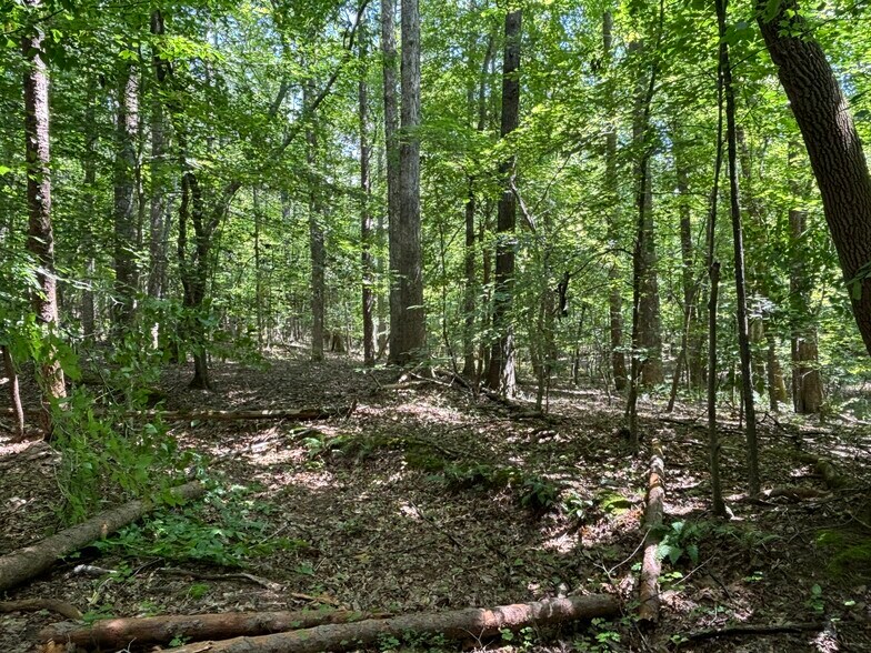 More Photos Of 1400 Happy Valley Farm Dr, Hillsborough Land For Sale