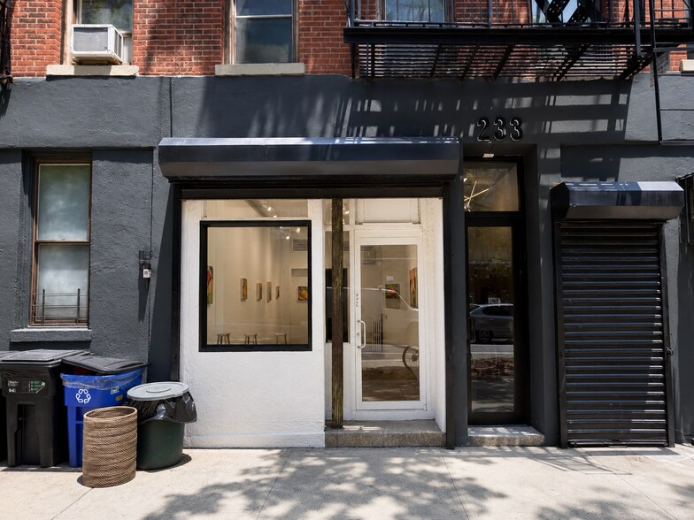 More Photos Of 231-233 E 4th St, New York Apartments For Lease