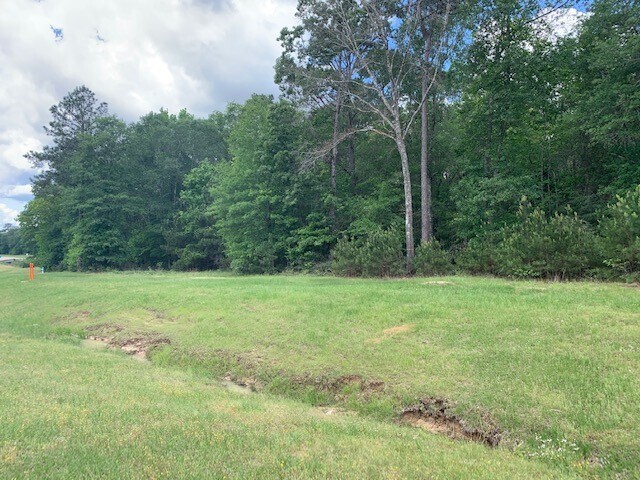 More Photos Of FM 1484 & FM 3083, Conroe Land For Sale