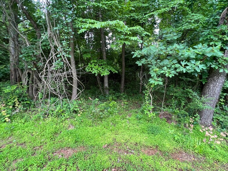 More Photos Of 6322 Hopewell Rd, The Plains Land For Sale