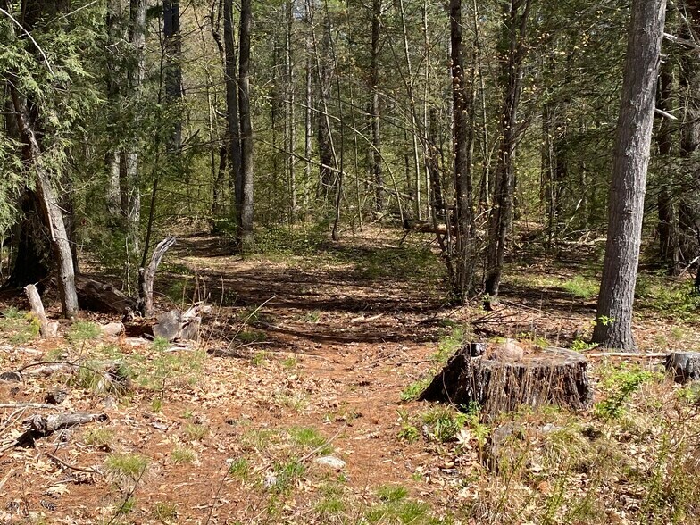 More Photos Of 100 Pequot Rd, Southampton Land For Sale