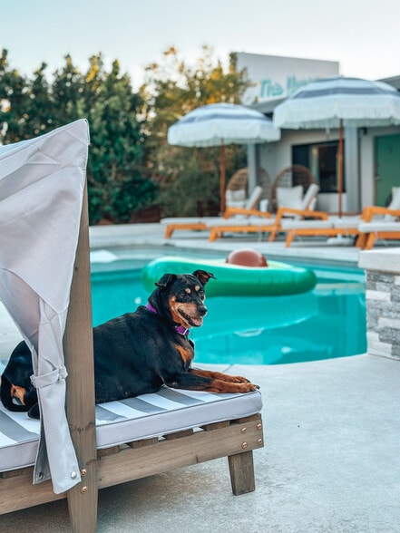 More Photos Of 66358 Desert View Ave, Desert Hot Springs Hotel For Sale