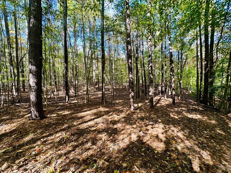 More Photos Of US Hwy 64, Jamesville Land For Sale