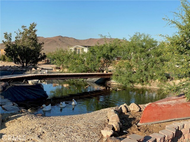 More Photos Of 691 Desert Trail Way, Tecopa Winery Vineyard For Sale