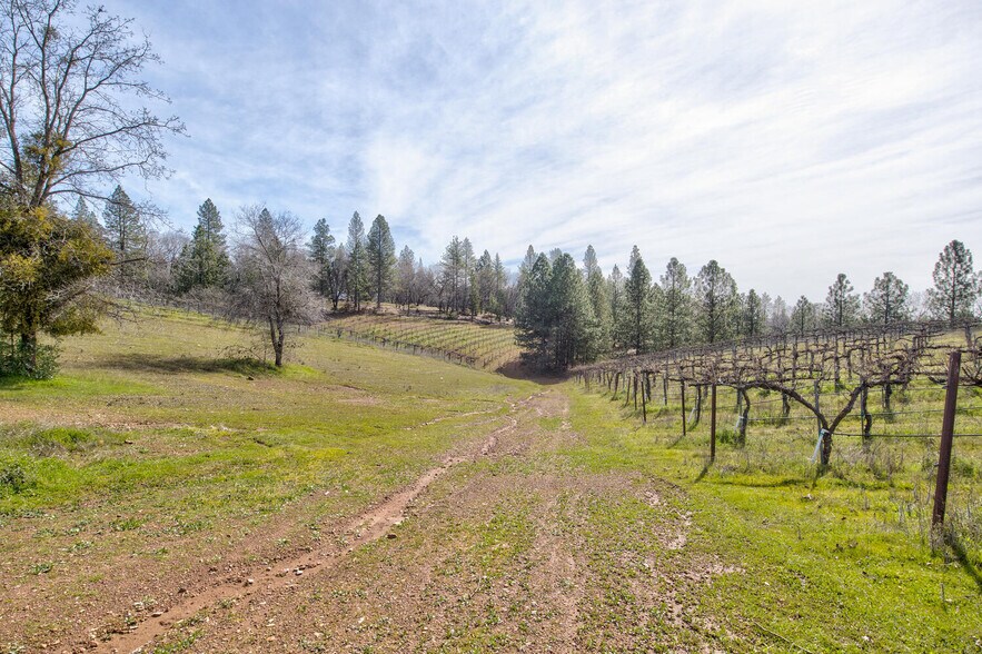 More Photos Of 4771 Greenhills Rd, Placerville Winery Vineyard For Sale