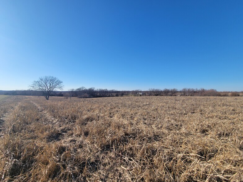 More Photos Of 171 Windy Hill Rd. (20+/- Acres), Elsberry Land For Sale