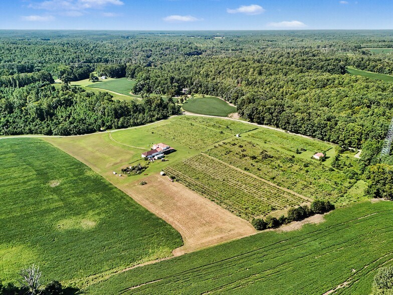 More Photos Of 495 Meadow Landing Ln, Caret Winery Vineyard For Sale