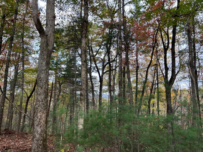 More Photos Of Whitecliff Drive, Ellijay Land For Sale