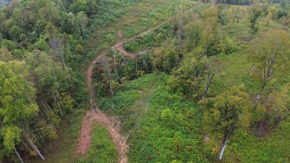 More Photos Of 799 County Road 213, Scottown Land For Sale