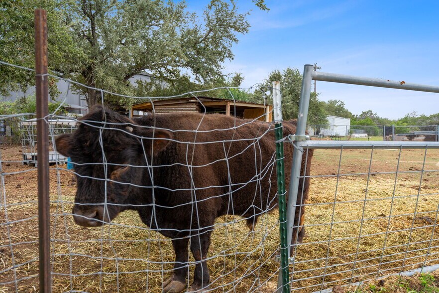 More Photos Of 13617 Fitzhugh Rd, Austin Showroom For Lease