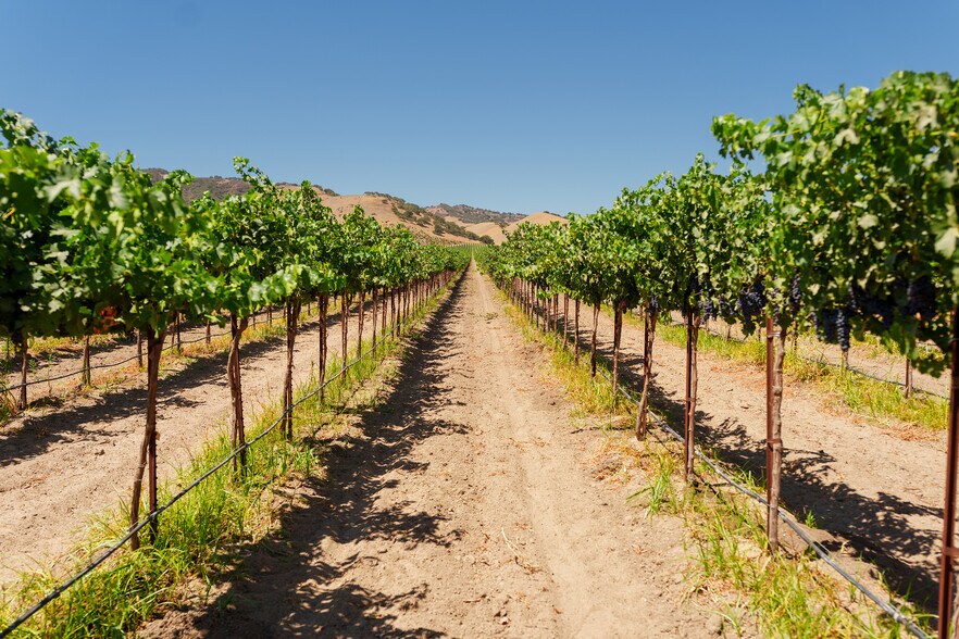 More Photos Of 63950 Bernardo Rd, San Ardo Land For Sale