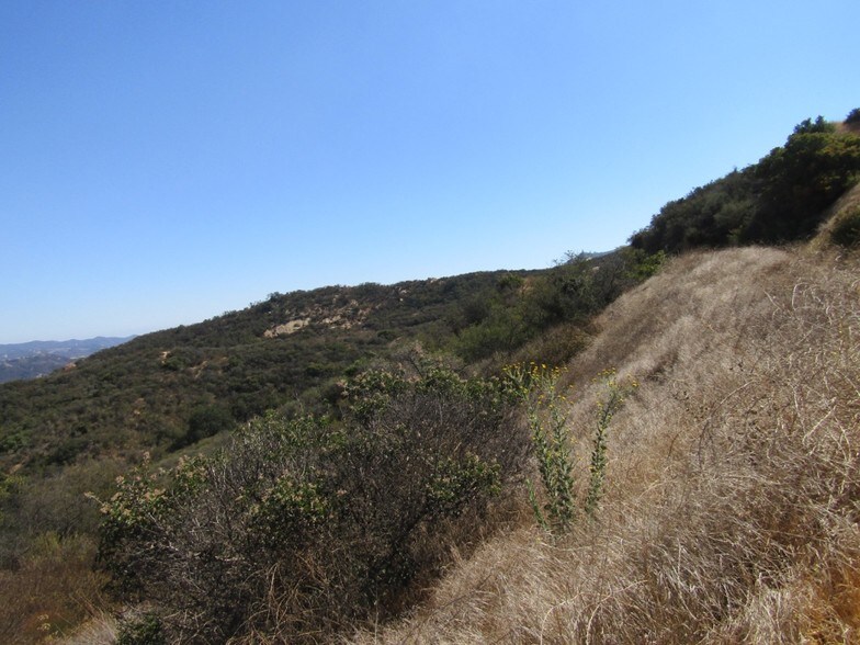 More Photos Of 2693 Old Topanga Canyon Rd, Topanga Land For Sale
