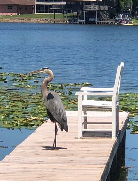 More Photos Of 22129 Carson Dr, Land O' Lakes Specialty For Sale