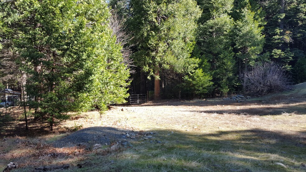 More Photos Of Winding Way, Grizzly Flats Land For Sale
