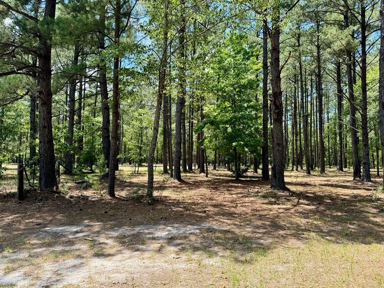 More Photos Of 241 Foskey Cemetery Rd, Adrian Land For Sale