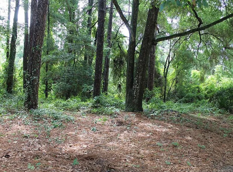 More Photos Of 2030 SW 70th Ter, Gainesville Land For Sale