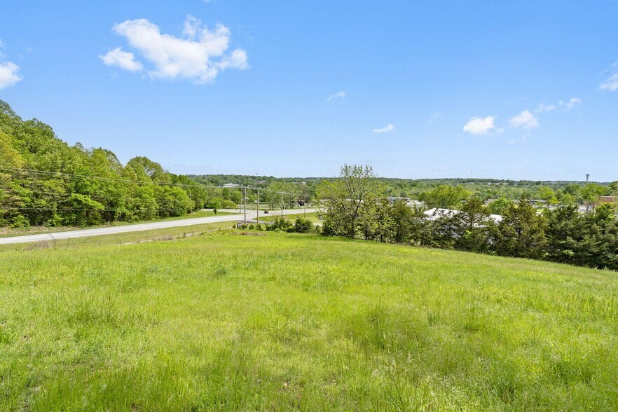 More Photos Of 809 N 9th St, Ozark Land For Sale