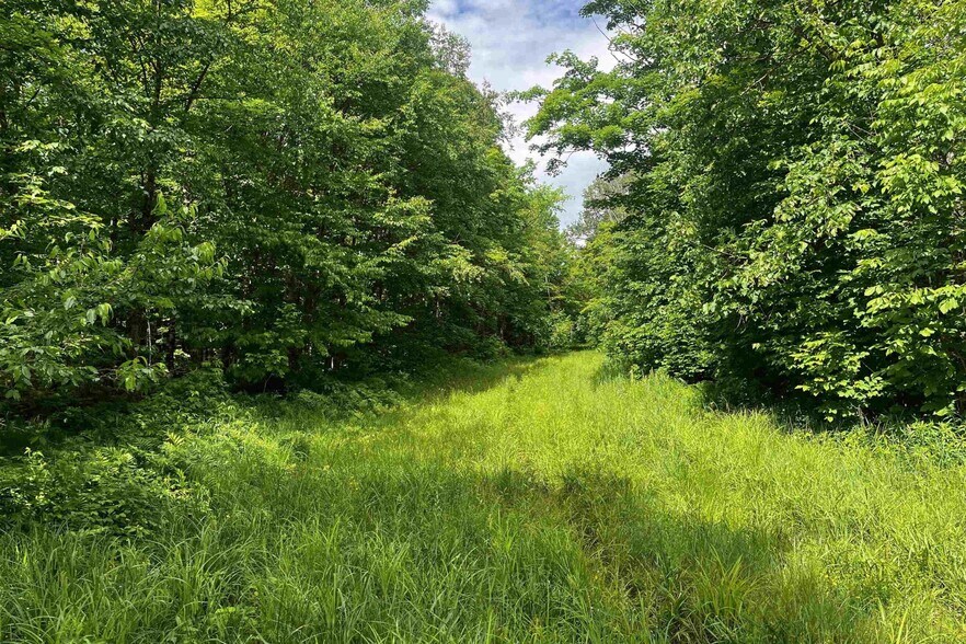 More Photos Of Laird Road Rd, Pelkie Land For Sale