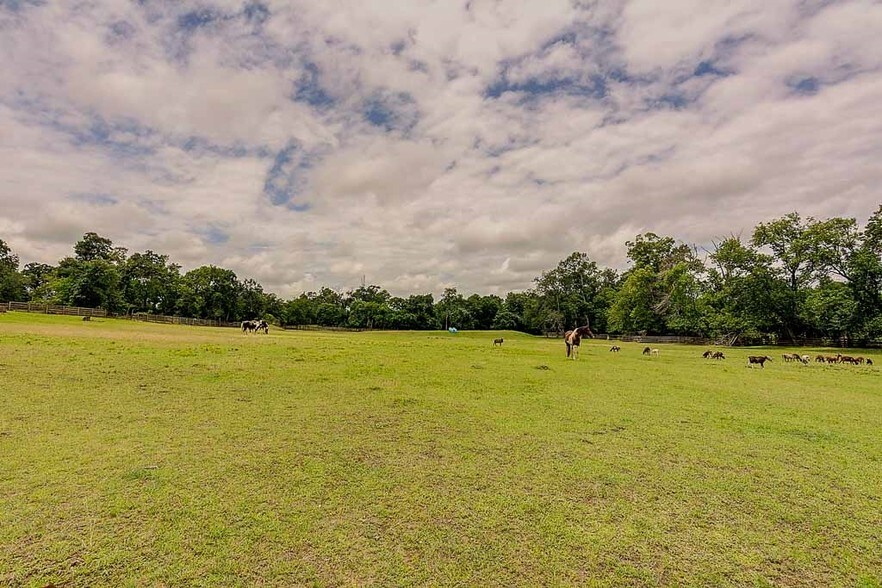 More Photos Of 26298 Hwy 105 W, Montgomery Land For Sale