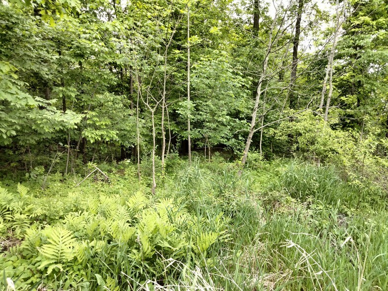 More Photos Of 0 Rt 100, Bechtelsville Land For Sale