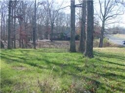 More Photos Of 2305 Fairview Blvd, Fairview Land For Lease