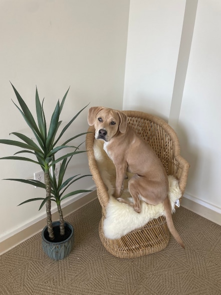 More Photos Of 201 N Front St, Wilmington Office For Lease