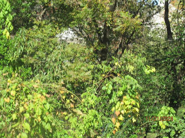 Primary Photo Of 0 Club Manor, Maumelle Land For Sale