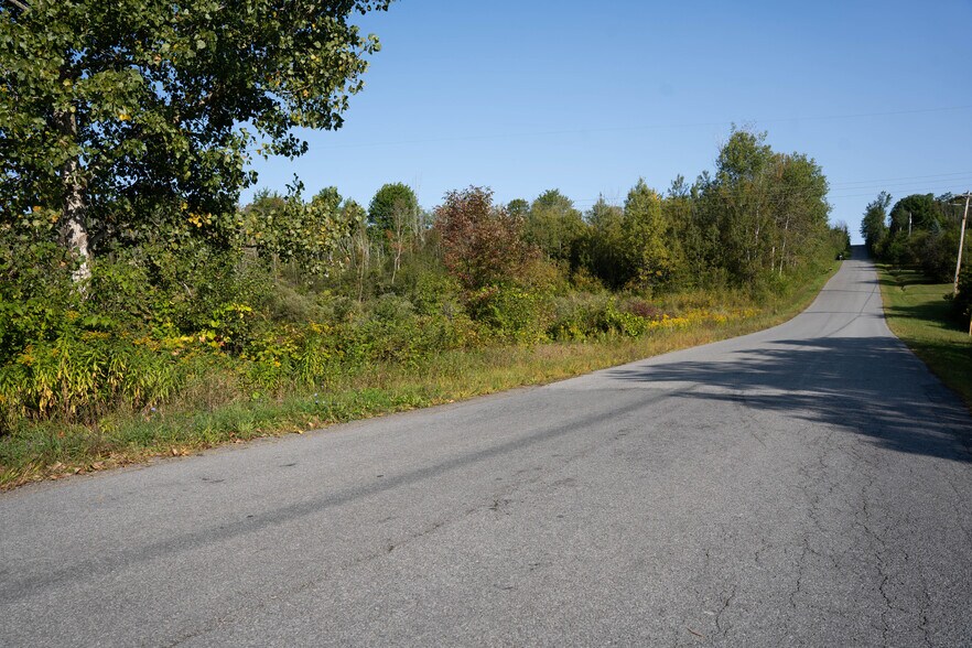 More Photos Of 219 Mudge rd, Delanson Land For Sale