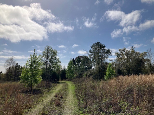 More Photos Of 1083 Obrien Point, Lecanto Land For Sale