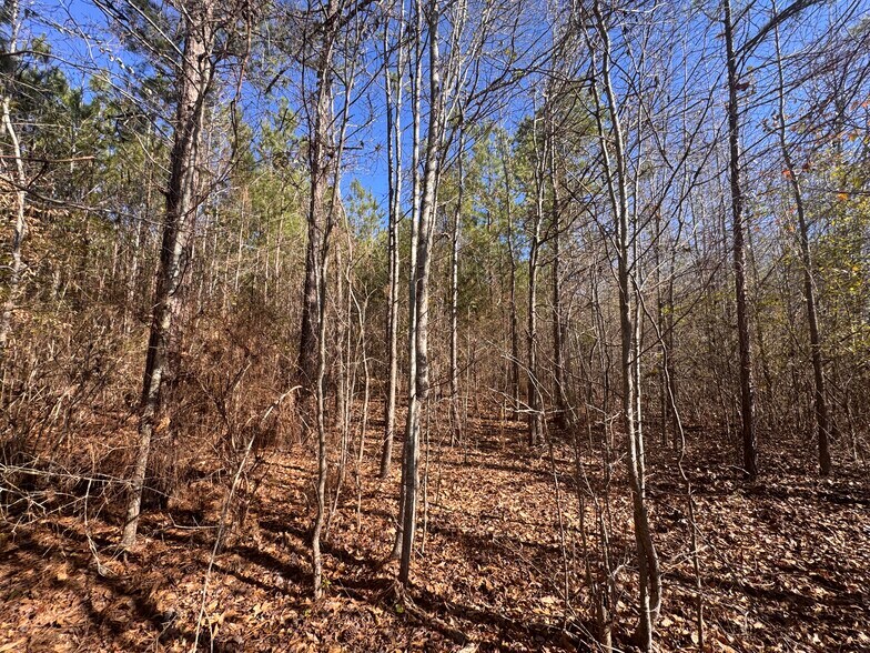 More Photos Of U.S. 31, Verbena Land For Sale