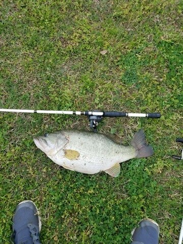 More Photos Of 11200 Sam Rayburn Hwy, Anna Land For Sale