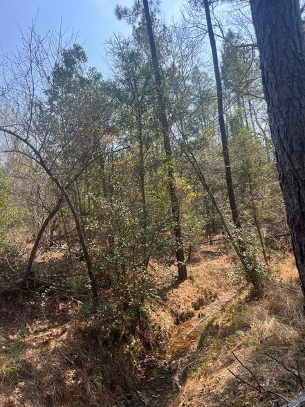 More Photos Of Healing Acres Ln, Carthage Land For Sale