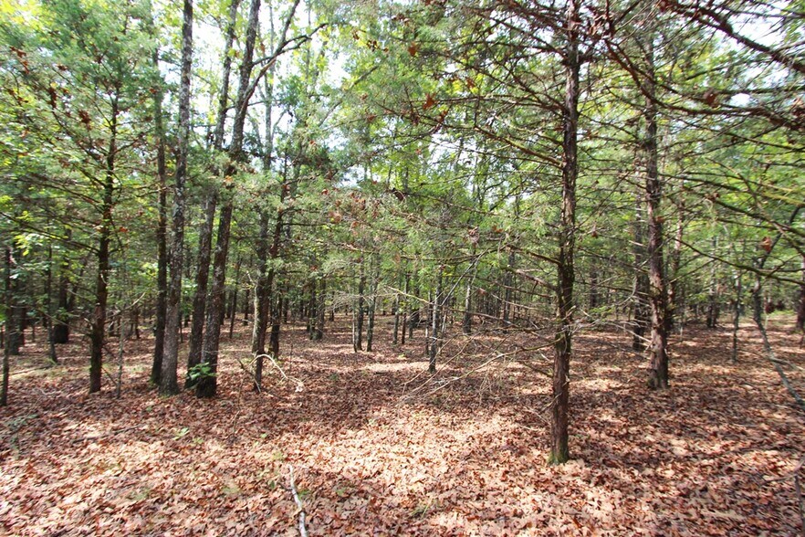More Photos Of 226 Blythe rd, Greenbrier Land For Sale
