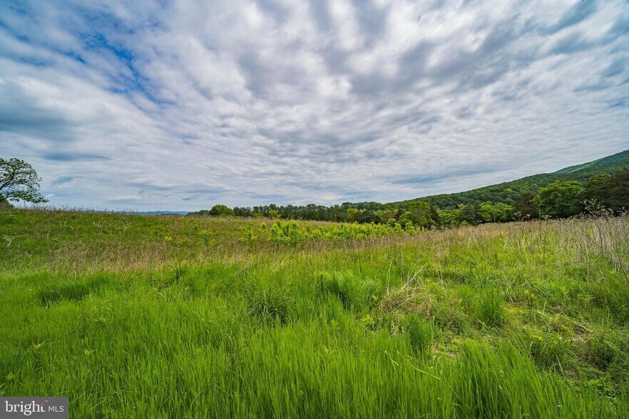 More Photos Of 895 Fishers rd, Maurertown Land For Sale