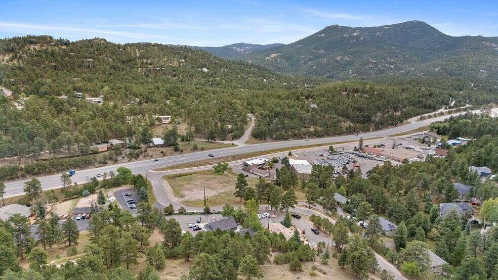 More Photos Of 29713 Troutdale Scenic Dr, Evergreen Office For Sale