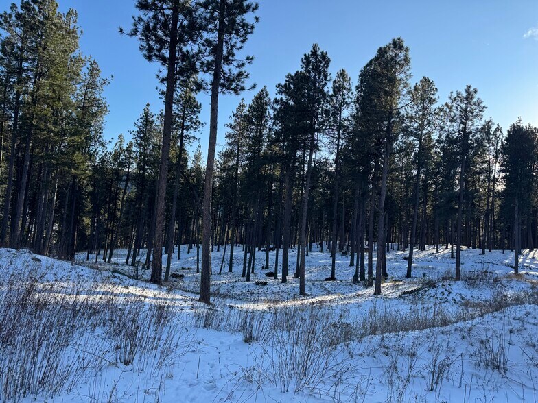 More Photos Of 21301 Vanocker Canyon Road, Sturgis Land For Sale