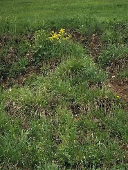 More Photos Of 110 Ridge Rd, South Park Land For Sale