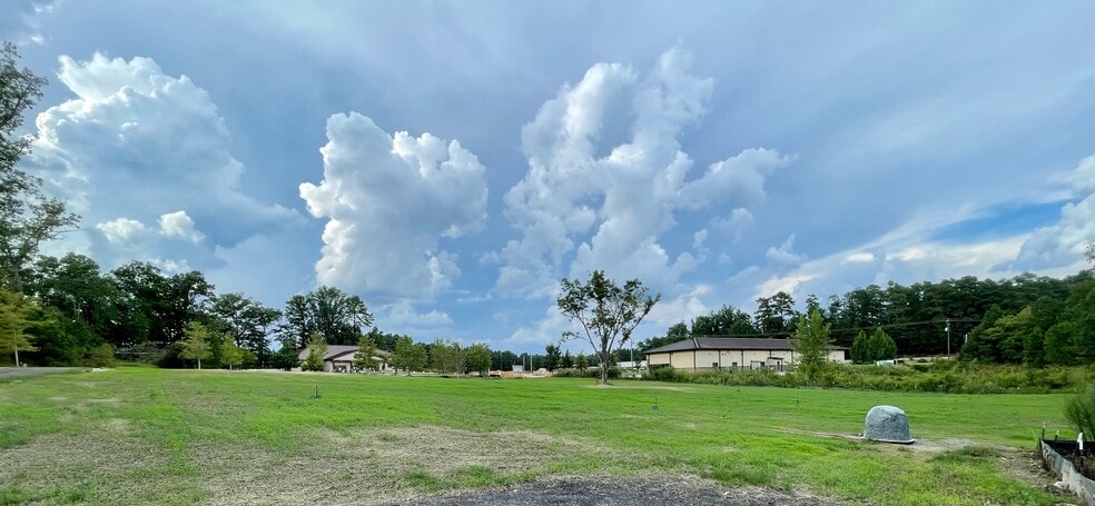 Primary Photo Of 111 Snapdragon, Chapin Land For Sale