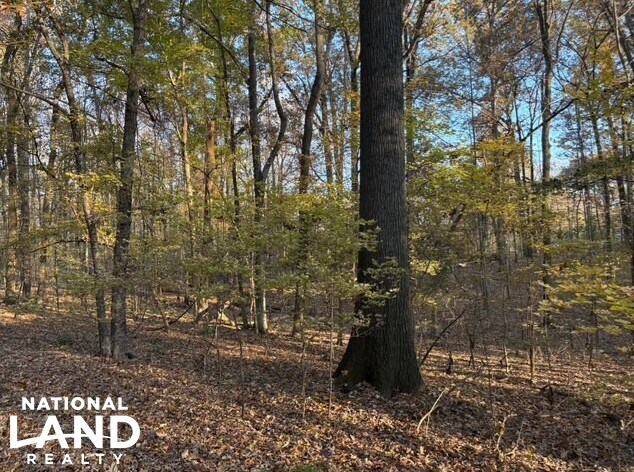 More Photos Of HWY 301, Horn Lake Land For Sale