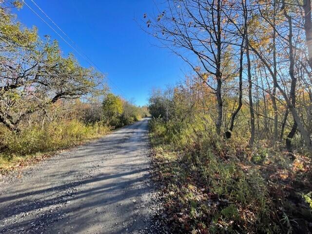 Primary Photo Of 0 Maker Cove Rd, Owls Head Land For Sale