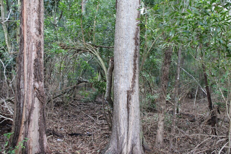 More Photos Of 7533 Hagen Ranch Road, Delray Beach Land For Lease