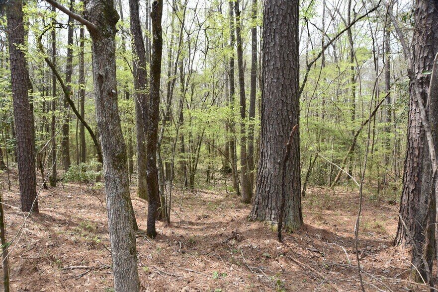 More Photos Of Warm Springs Rd @ GA-208, Waverly Hall Land For Sale