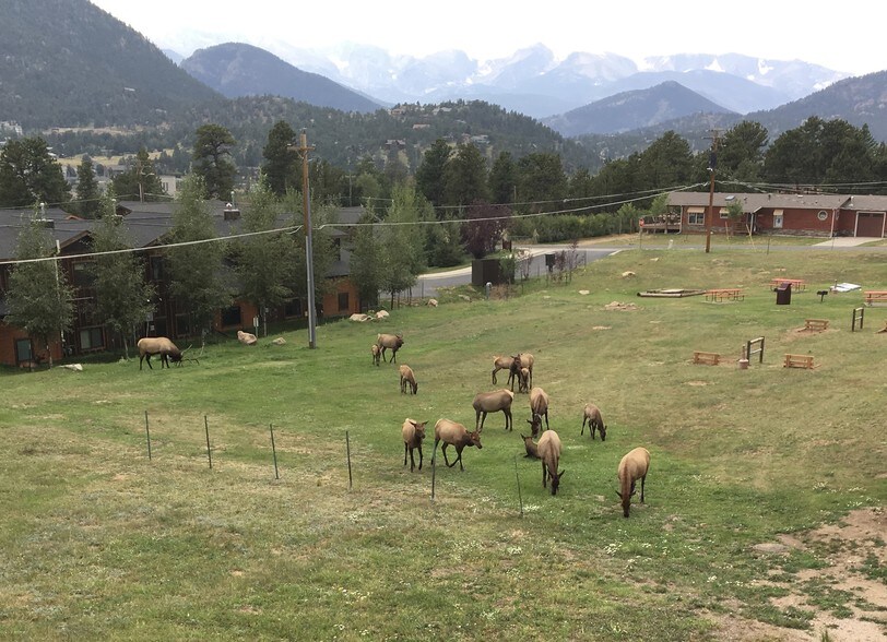 More Photos Of 1230 Big Thompson Ave, Estes Park Medical For Sale